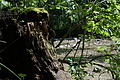 DSC05575 - Bernhard Saalfeld