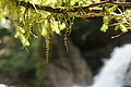 DSC05576 - Bernhard Saalfeld