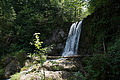DSC05583 - Bernhard Saalfeld