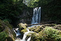 DSC05585 - Bernhard Saalfeld