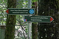 DSC05586 - Bernhard Saalfeld