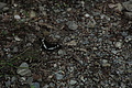 DSC05587 - Bernhard Saalfeld