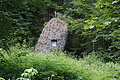 DSC05588 - Bernhard Saalfeld