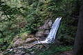DSC05608 - Bernhard Saalfeld