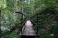 DSC05609 - Bernhard Saalfeld