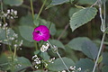 DSC05613 - Bernhard Saalfeld