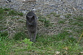 DSC05614 - Bernhard Saalfeld