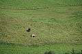DSC05622 - Bernhard Saalfeld