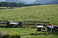 DSC05623 - Bernhard Saalfeld