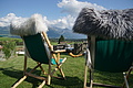 DSC05627 - Bernhard Saalfeld