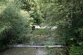 DSC05660 - Bernhard Saalfeld