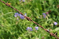 DSC05664 - Bernhard Saalfeld