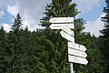 DSC05665 - Bernhard Saalfeld