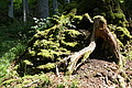 DSC05672 - Bernhard Saalfeld