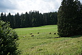 DSC05676 - Bernhard Saalfeld