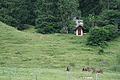 DSC05680 - Bernhard Saalfeld