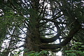 DSC05682 - Bernhard Saalfeld