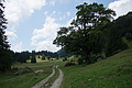 DSC05693 - Bernhard Saalfeld