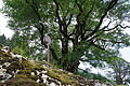 DSC05694 - Bernhard Saalfeld