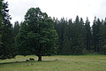 DSC05695 - Bernhard Saalfeld