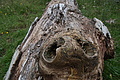 DSC05711 - Bernhard Saalfeld