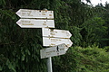 DSC05713 - Bernhard Saalfeld