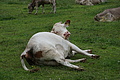 DSC05716 - Bernhard Saalfeld