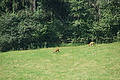 DSC05726 - Bernhard Saalfeld