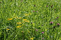 DSC05728 - Bernhard Saalfeld