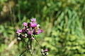DSC05751 - Bernhard Saalfeld