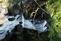 DSC05760 - Bernhard Saalfeld