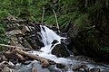 DSC05763 - Bernhard Saalfeld