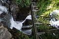 DSC05767 - Bernhard Saalfeld
