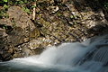 DSC05771 - Bernhard Saalfeld