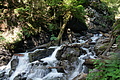 DSC05772 - Bernhard Saalfeld