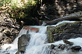 DSC05773 - Bernhard Saalfeld