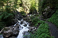 DSC05774 - Bernhard Saalfeld