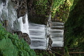 DSC05781 - Bernhard Saalfeld