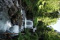 DSC05783 - Bernhard Saalfeld