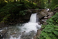 DSC05785 - Bernhard Saalfeld