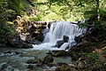 DSC05786 - Bernhard Saalfeld