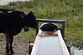 DSC05805 - Bernhard Saalfeld