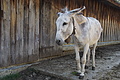 DSC05806 - Bernhard Saalfeld