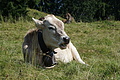 DSC05807 - Bernhard Saalfeld