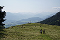DSC05808 - Bernhard Saalfeld