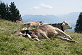 DSC05812 - Bernhard Saalfeld