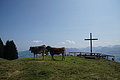 DSC05814 - Bernhard Saalfeld