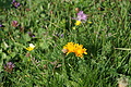 DSC05816 - Bernhard Saalfeld