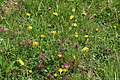 DSC05817 - Bernhard Saalfeld