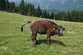 DSC05819 - Bernhard Saalfeld